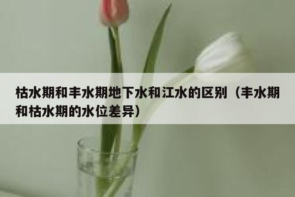 枯水期和丰水期地下水和江水的区别（丰水期和枯水期的水位差异） 第1张