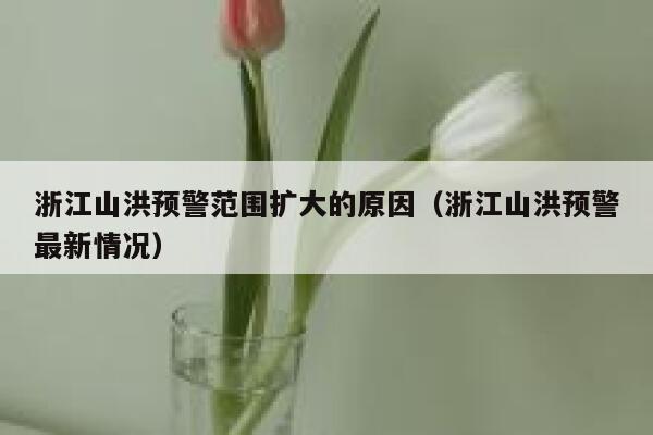 浙江山洪预警范围扩大的原因（浙江山洪预警最新情况） 第1张
