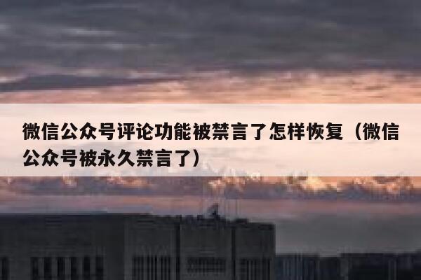 微信公众号评论功能被禁言了怎样恢复（微信公众号被永久禁言了） 第1张