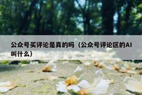 公众号买评论是真的吗(公众号评论区的AI叫什么) 第1张 公众号买评论是真的吗(公众号评论区的AI叫什么) 第1张
