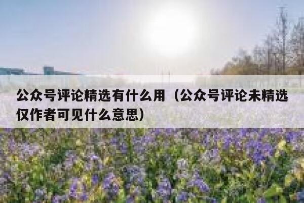 公众号评论精选有什么用(公众号评论未精选仅作者可见什么意思) 第1张 公众号评论精选有什么用(公众号评论未精选仅作者可见什么意思) 第1张