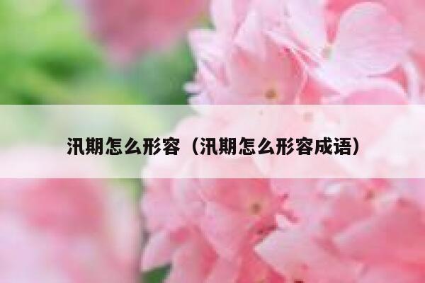 汛期怎么形容（汛期怎么形容成语） 第1张