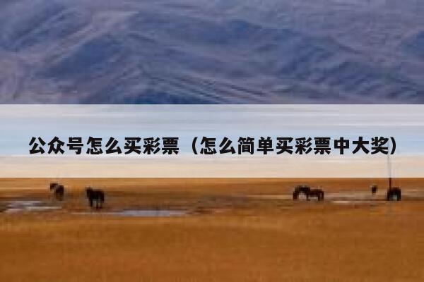 公众号怎么买彩票（怎么简单买彩票中大奖） 第1张