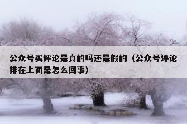 公众号买评论是真的吗还是假的（公众号评论排在上面是怎么回事） 第1张