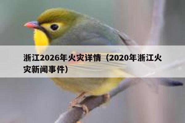 浙江2026年火灾详情（2020年浙江火灾新闻事件） 第1张