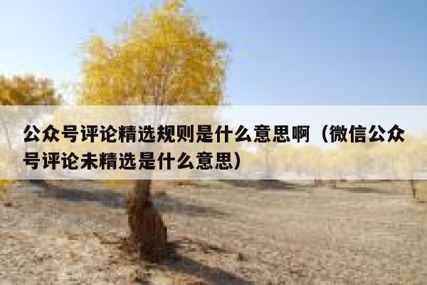 公众号评论精选规则是什么意思啊（微信公众号评论未精选是什么意思） 第1张