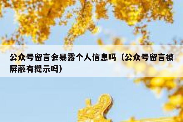公众号留言会暴露个人信息吗（公众号留言被屏蔽有提示吗） 第1张