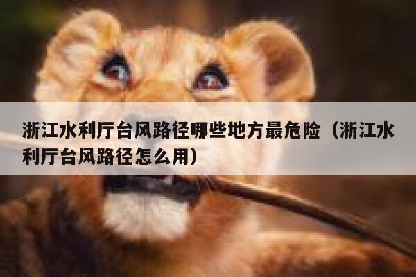 浙江水利厅台风路径哪些地方最危险(浙江水利厅台风路径怎么用) 第1张 浙江水利厅台风路径哪些地方最危险(浙江水利厅台风路径怎么用) 第1张