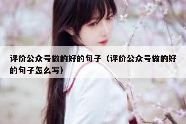 评价公众号做的好的句子（评价公众号做的好的句子怎么写） 第1张