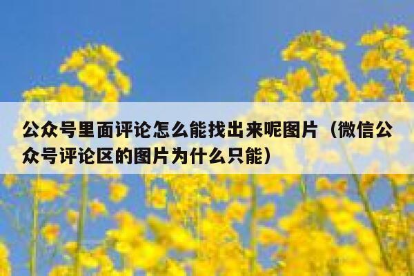 公众号里面评论怎么能找出来呢图片（微信公众号评论区的图片为什么只能） 第1张