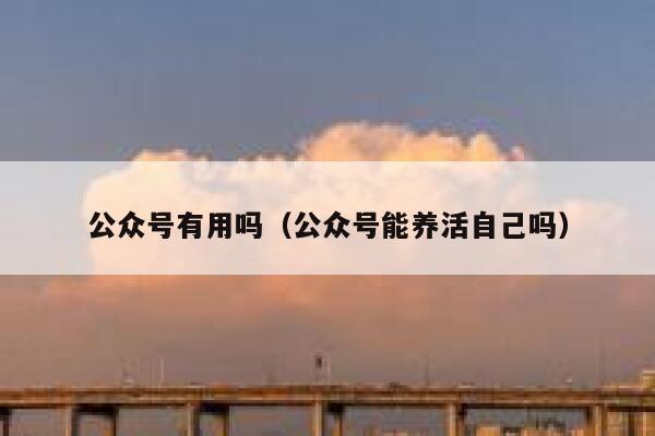 公众号有用吗（公众号能养活自己吗） 第1张