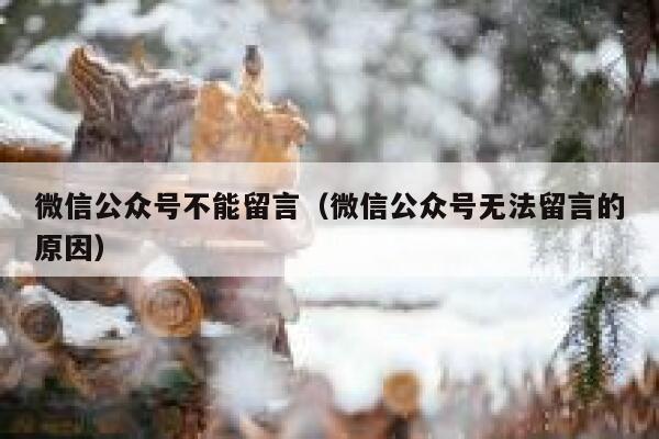 微信公众号不能留言（微信公众号无法留言的原因） 第1张