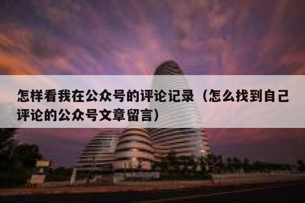 怎样看我在公众号的评论记录（怎么找到自己评论的公众号文章留言） 第1张