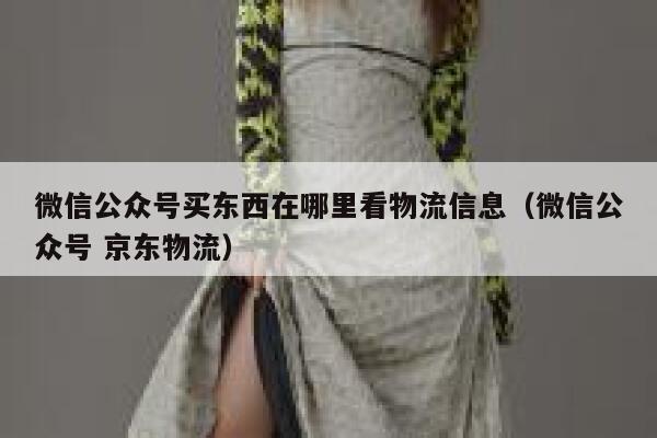 微信公众号买东西在哪里看物流信息(微信公众号 京东物流) 第1张 微信公众号买东西在哪里看物流信息(微信公众号 京东物流) 第1张