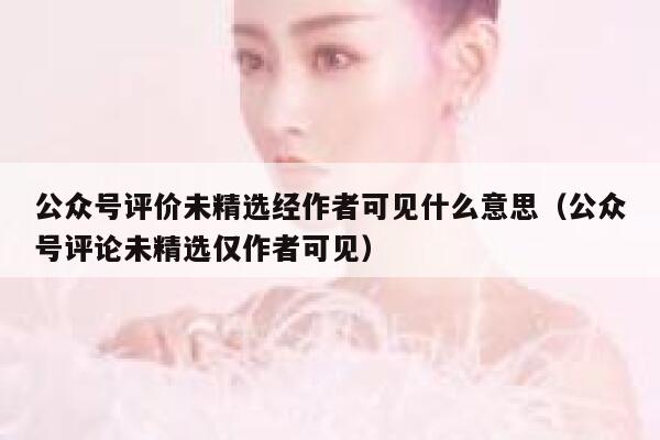 公众号评价未精选经作者可见什么意思（公众号评论未精选仅作者可见） 第1张