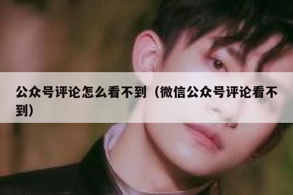 公众号评论怎么看不到(微信公众号评论看不到) 第1张 公众号评论怎么看不到(微信公众号评论看不到) 第1张