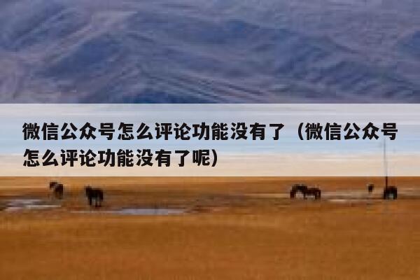 微信公众号怎么评论功能没有了（微信公众号怎么评论功能没有了呢） 第1张
