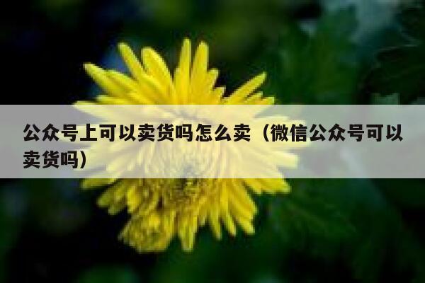 公众号上可以卖货吗怎么卖(微信公众号可以卖货吗) 第1张 公众号上可以卖货吗怎么卖(微信公众号可以卖货吗) 第1张