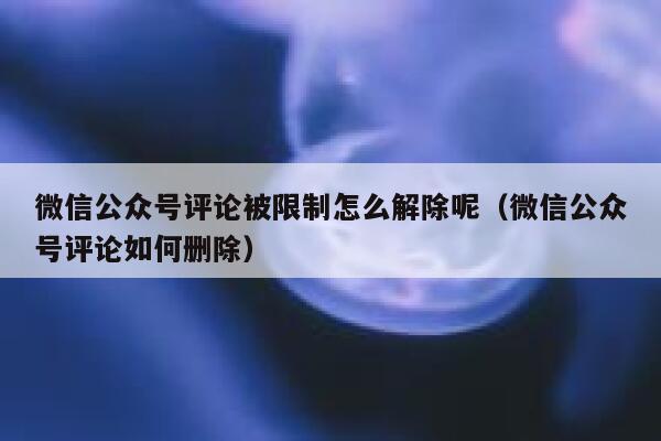 微信公众号评论被限制怎么解除呢(微信公众号评论如何删除) 第1张 微信公众号评论被限制怎么解除呢(微信公众号评论如何删除) 第1张