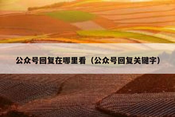 公众号回复在哪里看（公众号回复关键字） 第1张