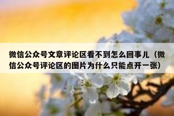 微信公众号文章评论区看不到怎么回事儿（微信公众号评论区的图片为什么只能点开一张） 第1张
