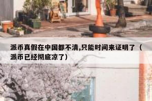 派币真假在中国都不清,只能时间来证明了(派币已经彻底凉了) 第1张 派币真假在中国都不清,只能时间来证明了(派币已经彻底凉了) 第1张