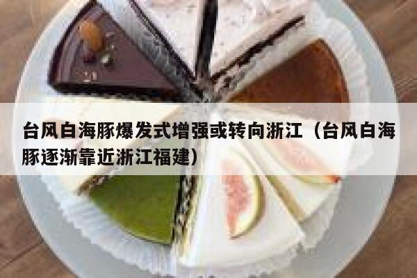 台风白海豚爆发式增强或转向浙江（台风白海豚逐渐靠近浙江福建） 第1张