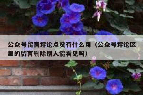 公众号留言评论点赞有什么用（公众号评论区里的留言删除别人能看见吗） 第1张