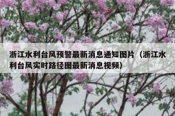 浙江水利台风预警最新消息通知图片（浙江水利台风实时路径图最新消息视频） 第1张
