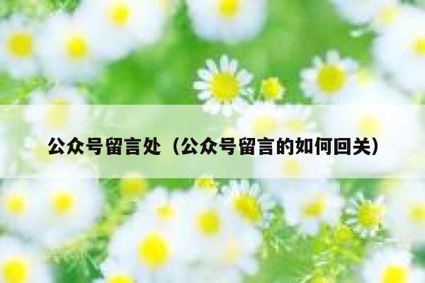 公众号留言处（公众号留言的如何回关） 第1张