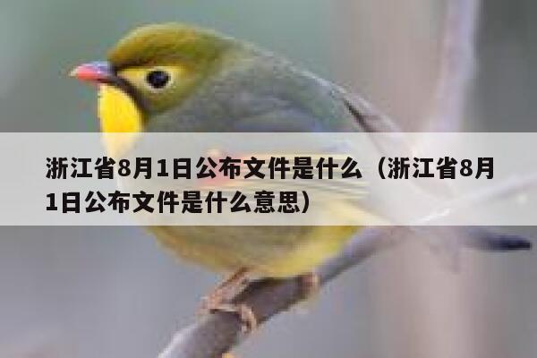 浙江省8月1日公布文件是什么（浙江省8月1日公布文件是什么意思） 第1张