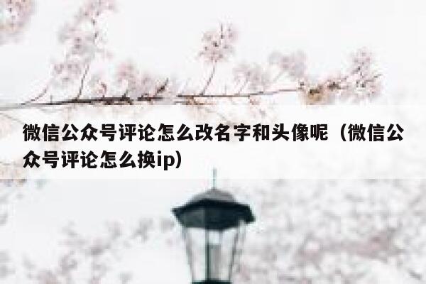 微信公众号评论怎么改名字和头像呢（微信公众号评论怎么换ip） 第1张