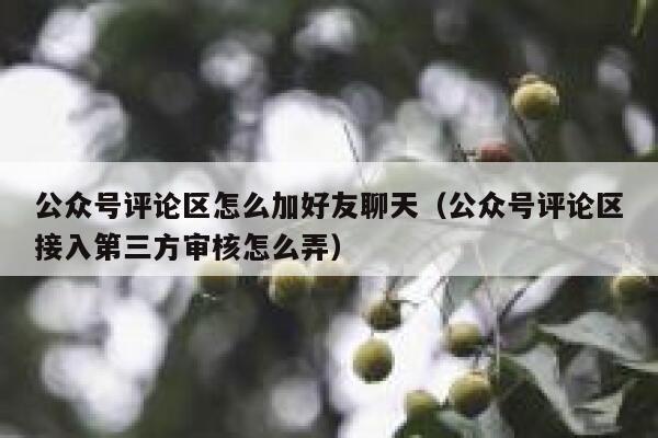 公众号评论区怎么加好友聊天（公众号评论区接入第三方审核怎么弄） 第1张