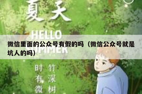 微信里面的公众号有假的吗（微信公众号就是坑人的吗） 第1张
