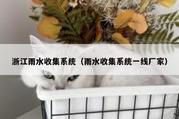浙江雨水收集系统（雨水收集系统一线厂家） 第1张
