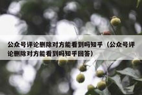 公众号评论删除对方能看到吗知乎（公众号评论删除对方能看到吗知乎回答） 第1张