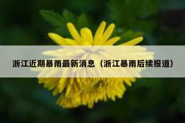 浙江近期暴雨最新消息（浙江暴雨后续报道） 第1张