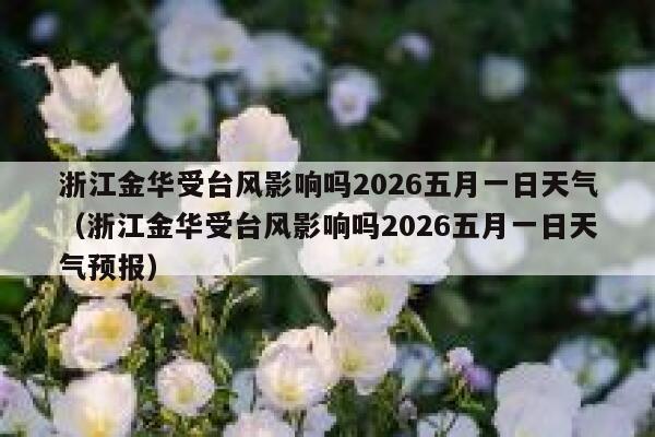 浙江金华受台风影响吗2026五月一日天气（浙江金华受台风影响吗2026五月一日天气预报） 第1张