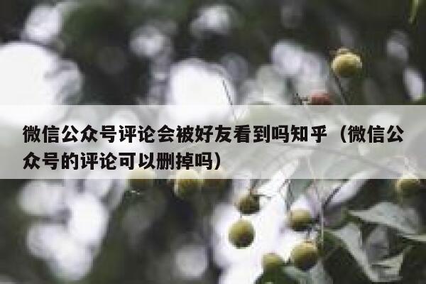 微信公众号评论会被好友看到吗知乎（微信公众号的评论可以删掉吗） 第1张
