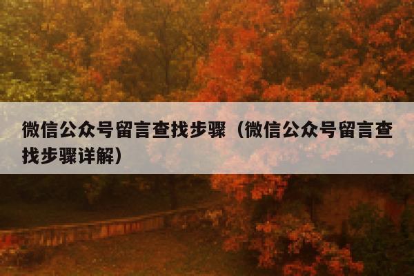微信公众号留言查找步骤(微信公众号留言查找步骤详解) 第1张 微信公众号留言查找步骤(微信公众号留言查找步骤详解) 第1张