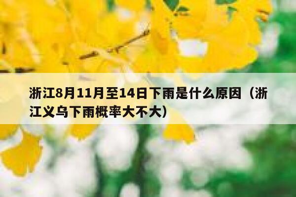 浙江8月11月至14日下雨是什么原因（浙江义乌下雨概率大不大） 第1张