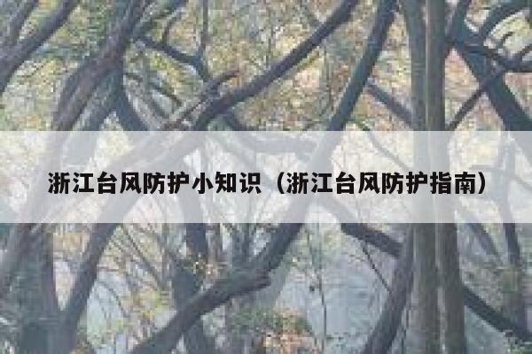 浙江台风防护小知识（浙江台风防护指南） 第1张