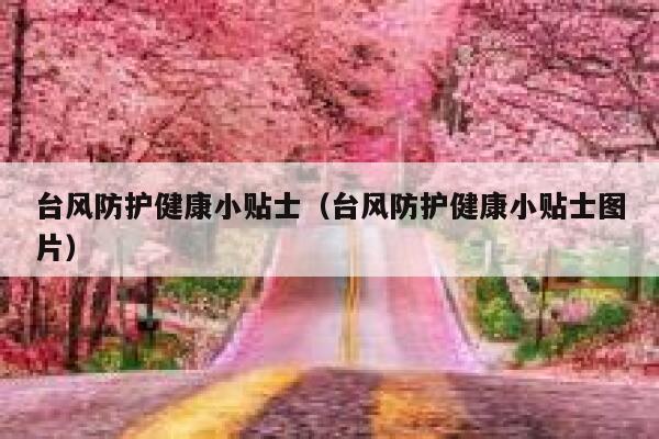 台风防护健康小贴士（台风防护健康小贴士图片） 第1张