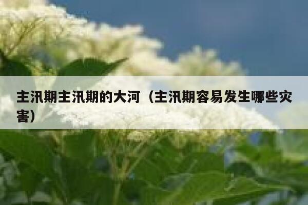 主汛期主汛期的大河(主汛期容易发生哪些灾害) 第1张 主汛期主汛期的大河(主汛期容易发生哪些灾害) 第1张