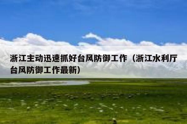 浙江主动迅速抓好台风防御工作（浙江水利厅台风防御工作最新） 第1张