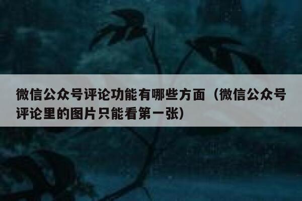 微信公众号评论功能有哪些方面（微信公众号评论里的图片只能看第一张） 第1张