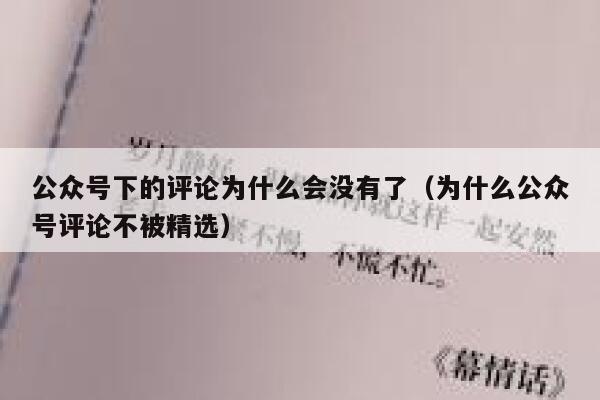 公众号下的评论为什么会没有了(为什么公众号评论不被精选) 第1张 公众号下的评论为什么会没有了(为什么公众号评论不被精选) 第1张