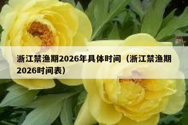 浙江禁渔期2026年具体时间(浙江禁渔期2026时间表) 第1张 浙江禁渔期2026年具体时间(浙江禁渔期2026时间表) 第1张