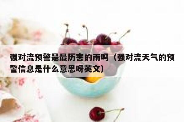 强对流预警是最历害的雨吗（强对流天气的预警信息是什么意思呀英文） 第1张