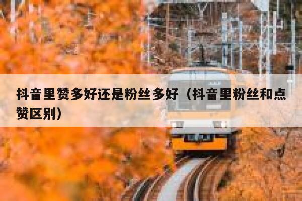 抖音里赞多好还是粉丝多好(抖音里粉丝和点赞区别) 第1张 抖音里赞多好还是粉丝多好(抖音里粉丝和点赞区别) 第1张